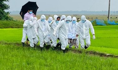 করোনায় মৃত্যু ২৯ হাজার ছাড়াল, নতুন শনাক্ত ১৫১৬